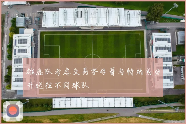 雄鹿队考虑交易字母哥与特纳或分开送往不同球队